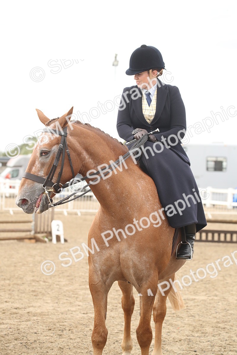 SBM_17651 - Class 508a - Working Veteran 70cm (15-19)