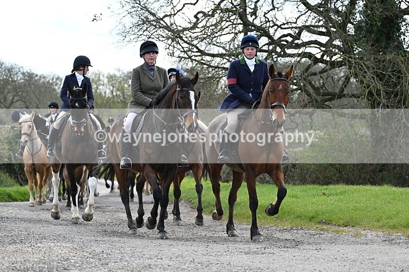 WJ7_9828 - Walk Home