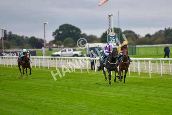 131023-Race 1-Pilgrim-9033 - Race 1 2.05pm William Hill EBF Novice Stakes