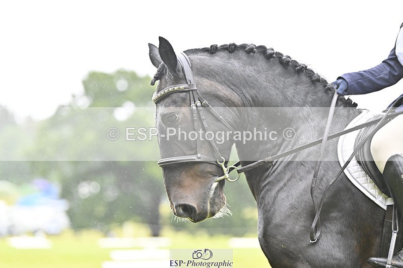 240824X-090601-21103 - D70 Section A and B 8.30 to 9.30