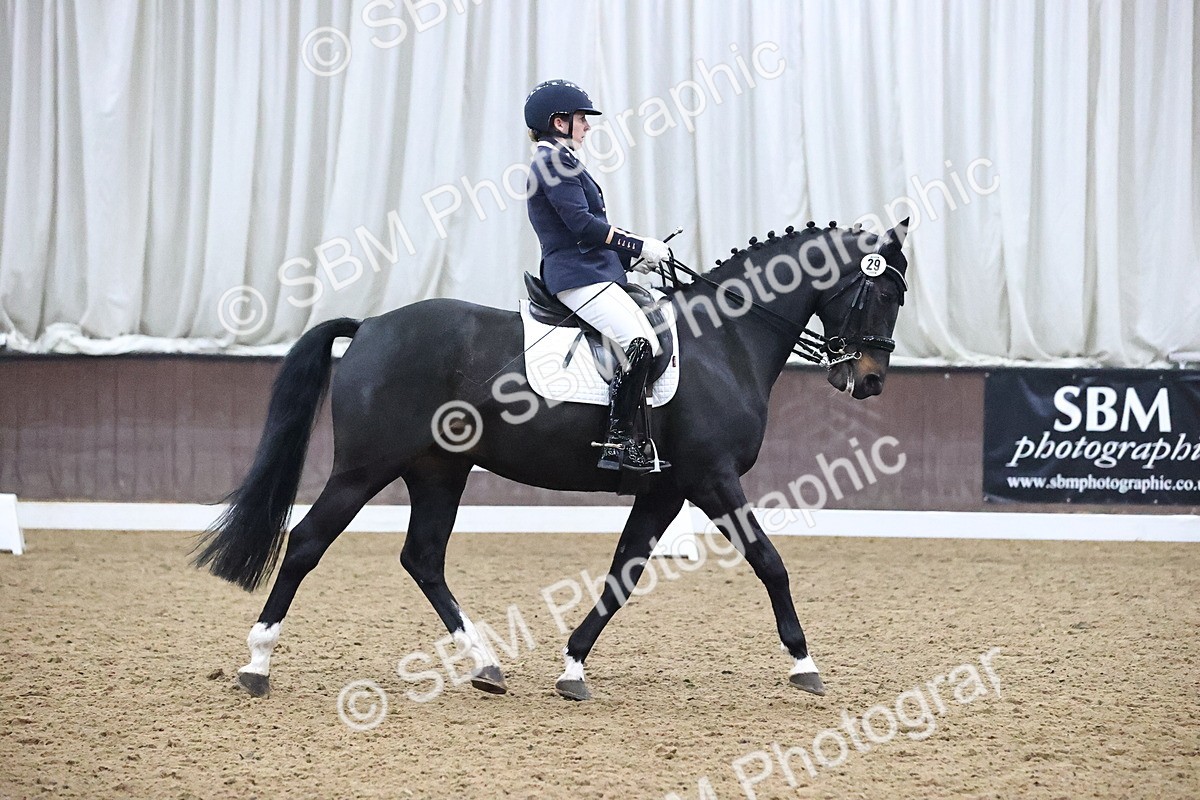 SBM_004597 - Class 8 - Medium 5