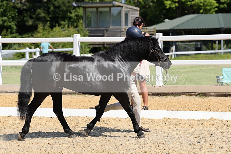 1X9A1116 - Class 9: Open Part Bred