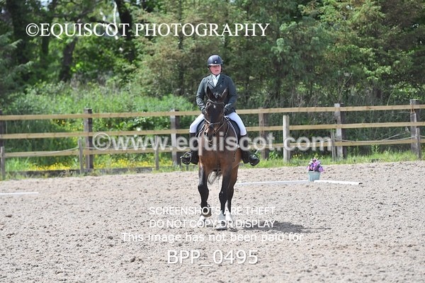 BPP_0495 - MFS NOVICE