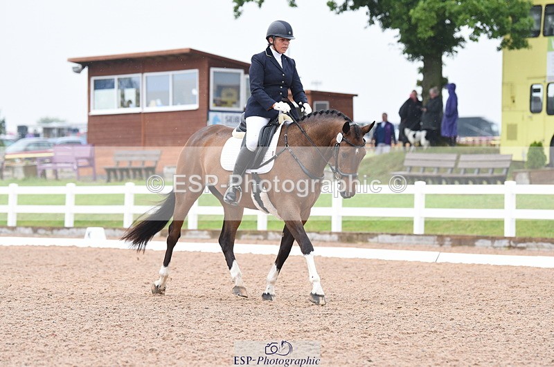 230708A-130320-01828 - Prelim 7