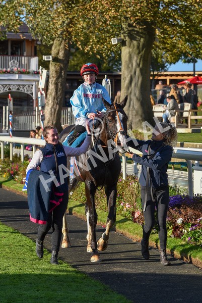 141023-Race 6-Punctuation-1557 - Race 6 4.10pm Coral Get Closer To The Action Handicap