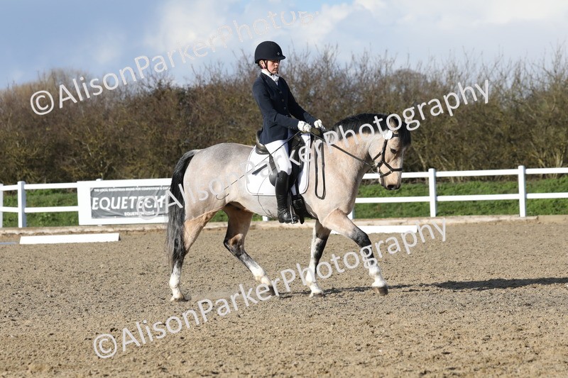 20260314-5836 - DR 7 - Elementary 1