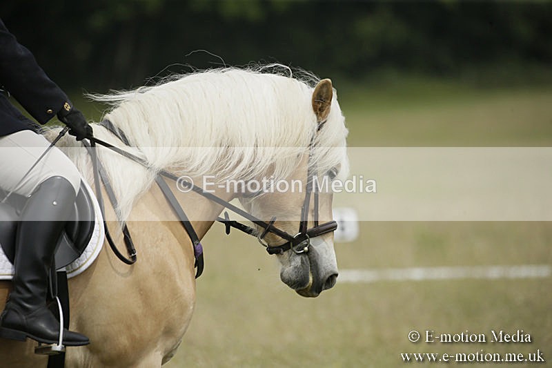 B230619-0410 - Bourne Valley Riding Club Summer Show 23/06/19