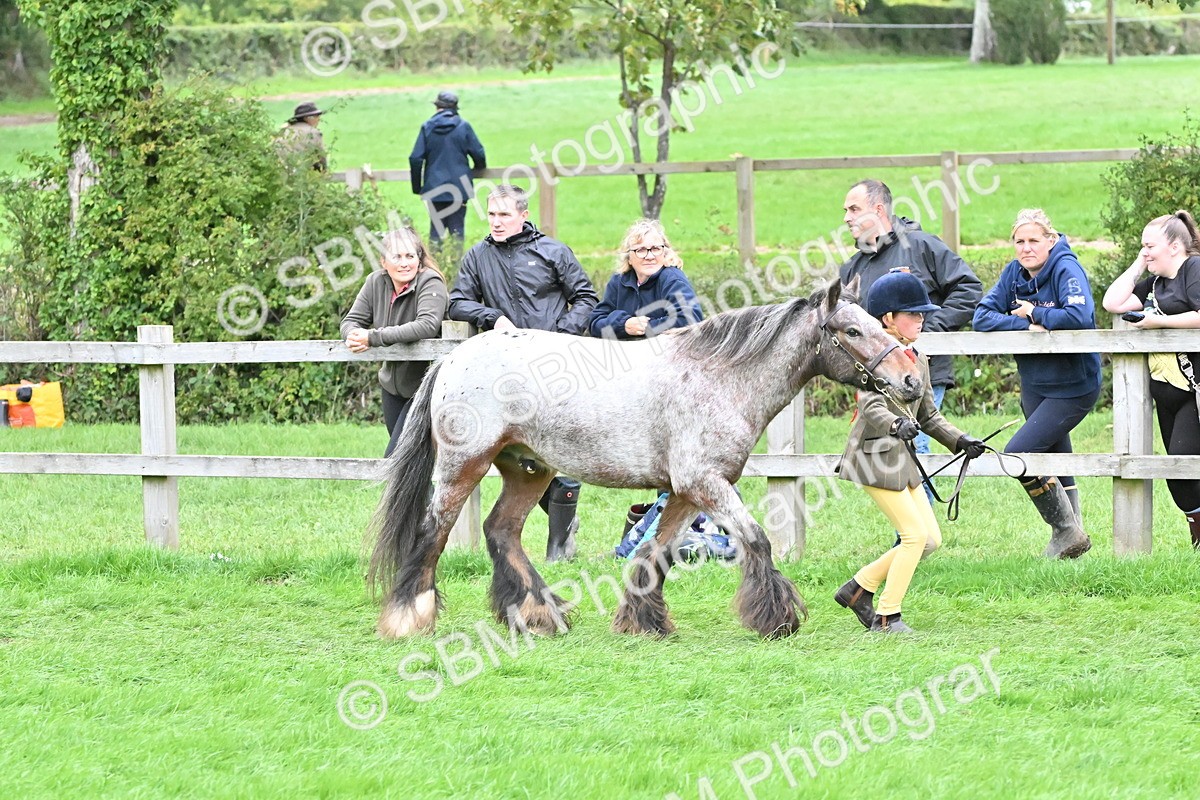 SBM_68557 - S42 - Junior Handler 9-12 Years
