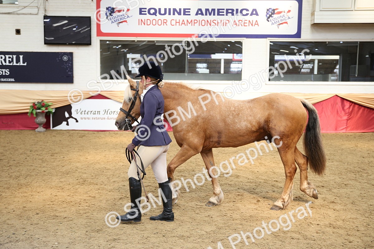 SBM_23368 - Class 904 - Supreme Final Ridden Diamond