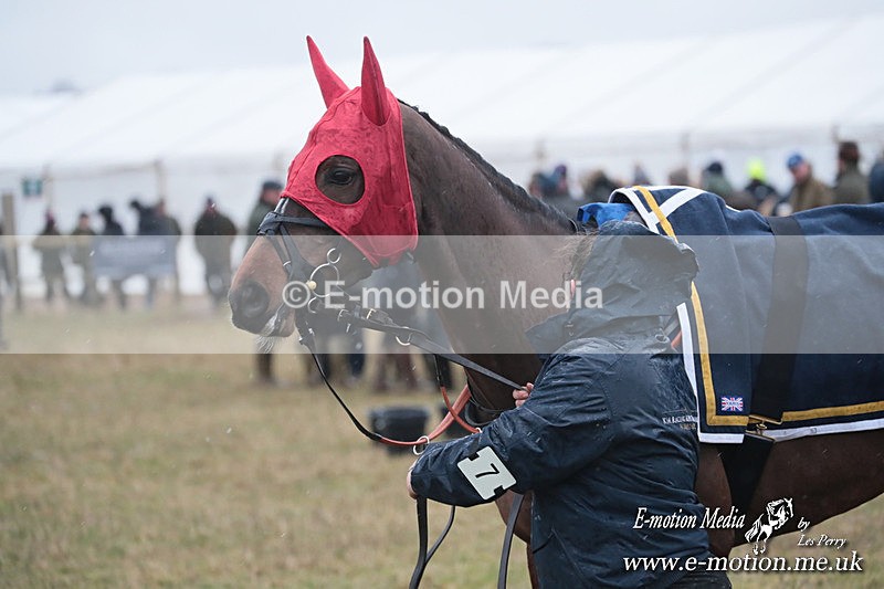 PtP 260125 139 - Cocklebarrow Point-to-Point racing with the Heythrop Hunt 26/01/25