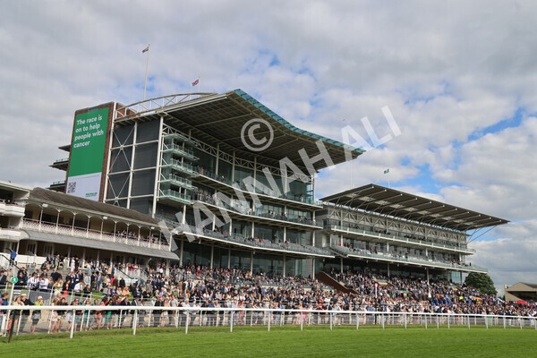 yr11062022r8-43 - Race 8 5.25pm Clean up with PPS Stakes