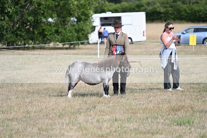 WJ7_8188 - In-hand Championship
