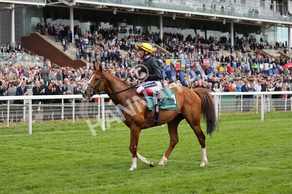 yr13052022r4-87 - Race 4 3.35pm The Paddy Power Yorkshire Cup (British Champions Series Race)