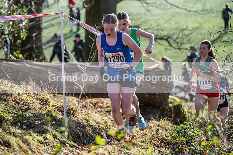Cumbria XC-341 - Cumbria Cross Country Championships (Junior & Senior Races) Saturday 3rd January 2026