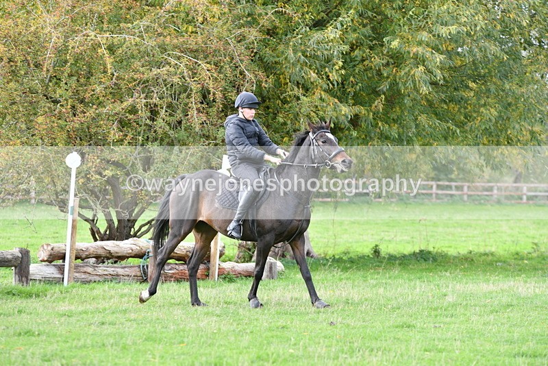 WJ5_9831 - Time 13:03 to 13:25