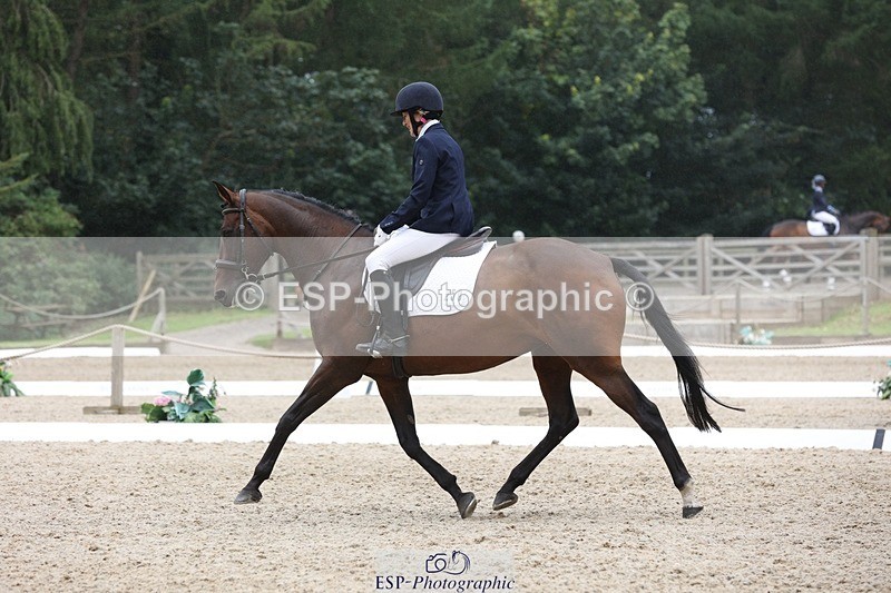 230812-122729-04016 - Cls 5 Novice Bronze 11.15 to 12.50 break