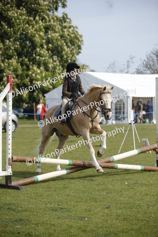 20260426-1206 - Class 2 - Mini Jumping