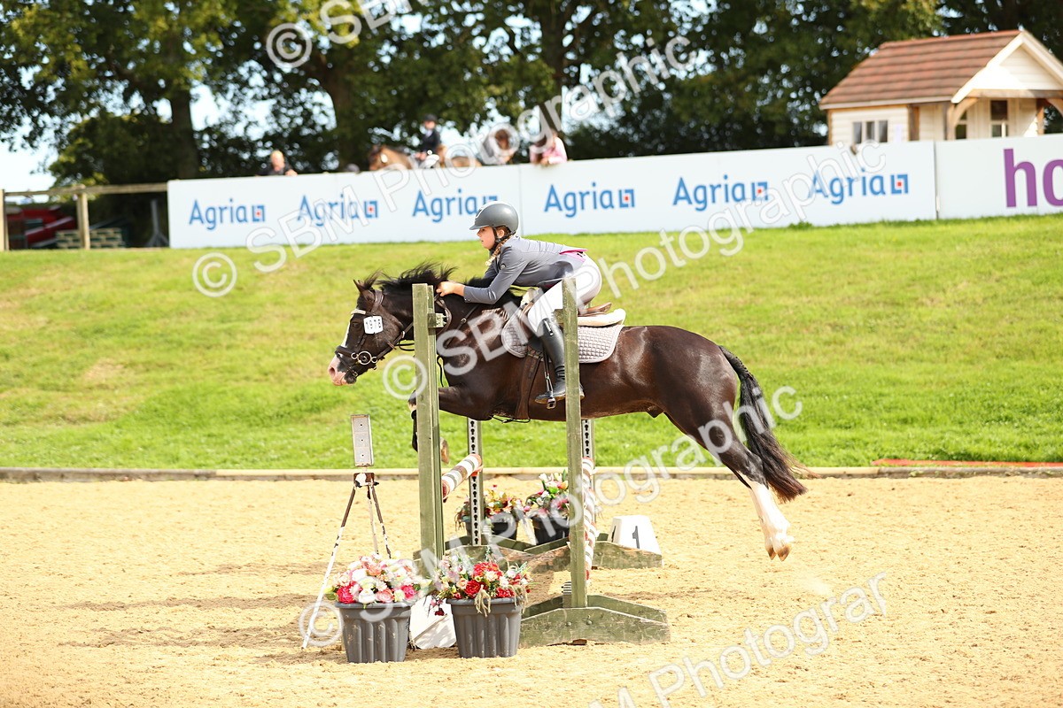 SBM_67112 - J17 - Junior Pony 80cm Championship
