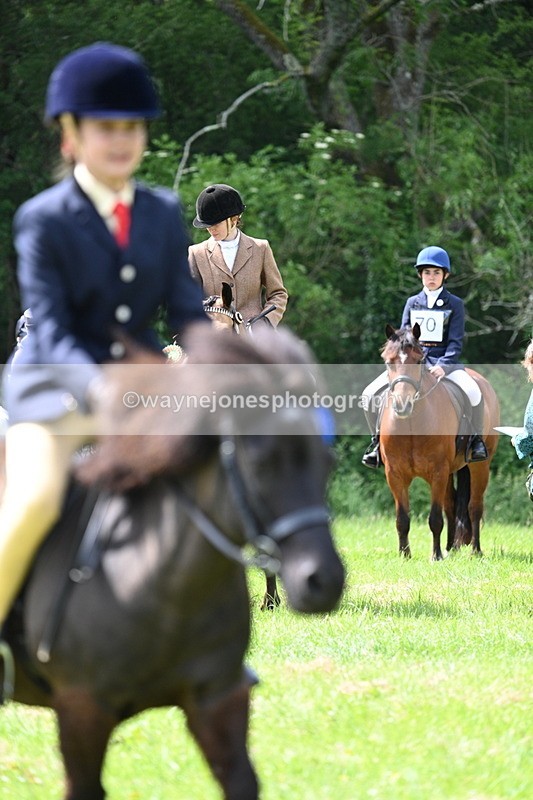WJ7_1586 - Class 11 Condition & Turnout