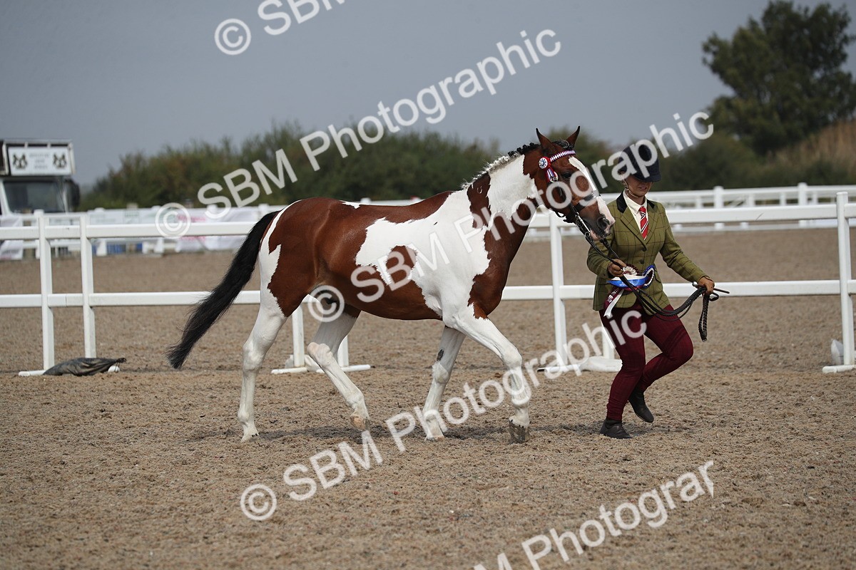SBM_23204 - Class 605 - 2025 Area - IH Veteran