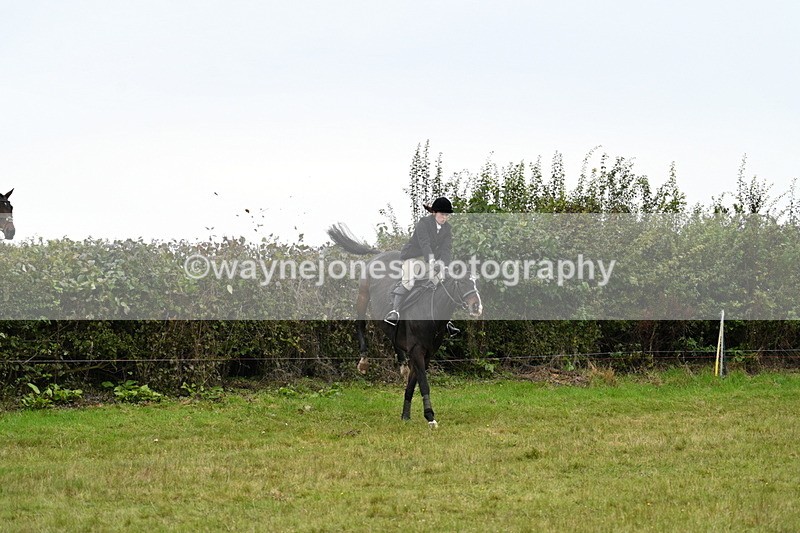 WJ7_4100 - Camera 1 Line 2