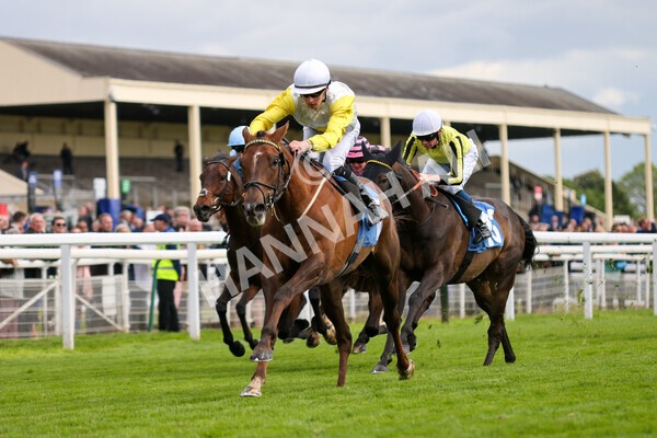 yr11052022r6-17 - Race 6 4.45pm Conundrum HR Consulting Stakes