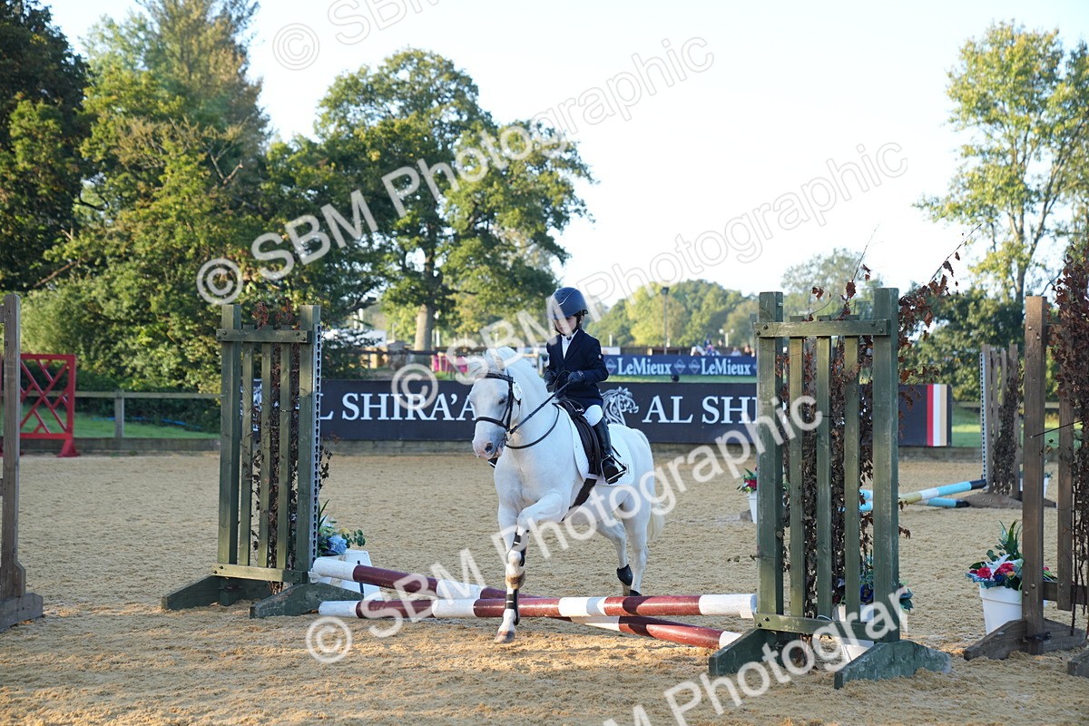 SBM_58895 - J63 - Minis Clear Round 30cm 40cm