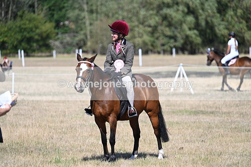 WJ7_4183 - Class 9 Mountain & Moorland Ridden