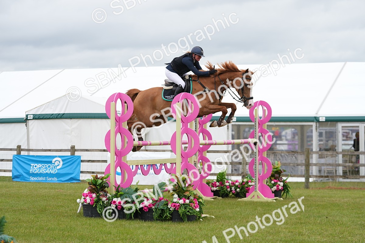 SBM_03302 - Class 201 - British Horse Feeds Speedi Beet Horse of the Year Show Grade  C
