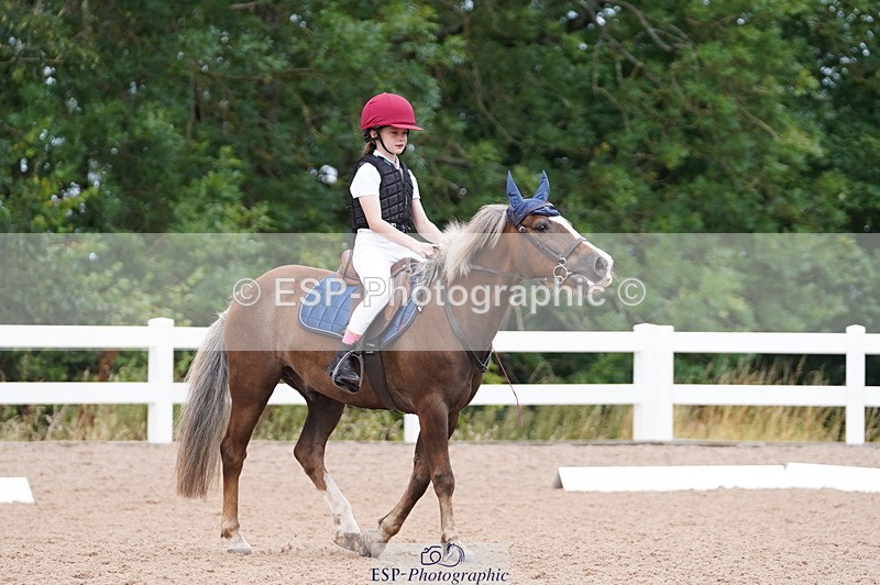 240809A-104420-00638 - Dressage Competition