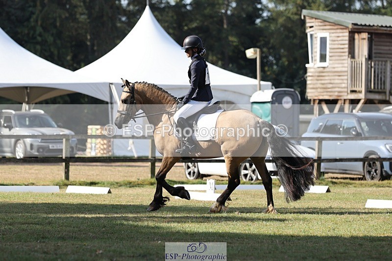 250823A-095159-26954 - Arena C