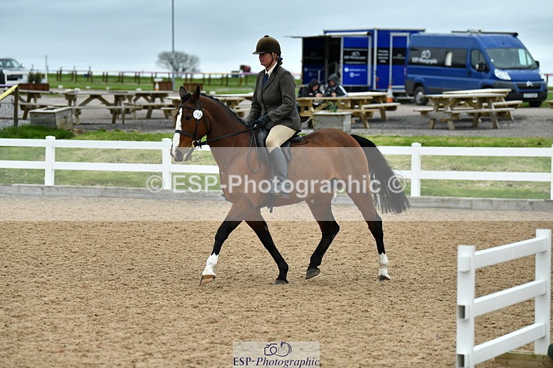 230416A-134541-04941 - Cls 60 Ridden Show Horse