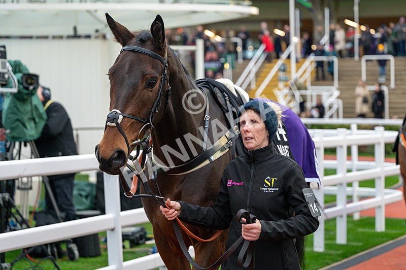 161125-Race 5-Dedicated Hero-1700 - Race 5