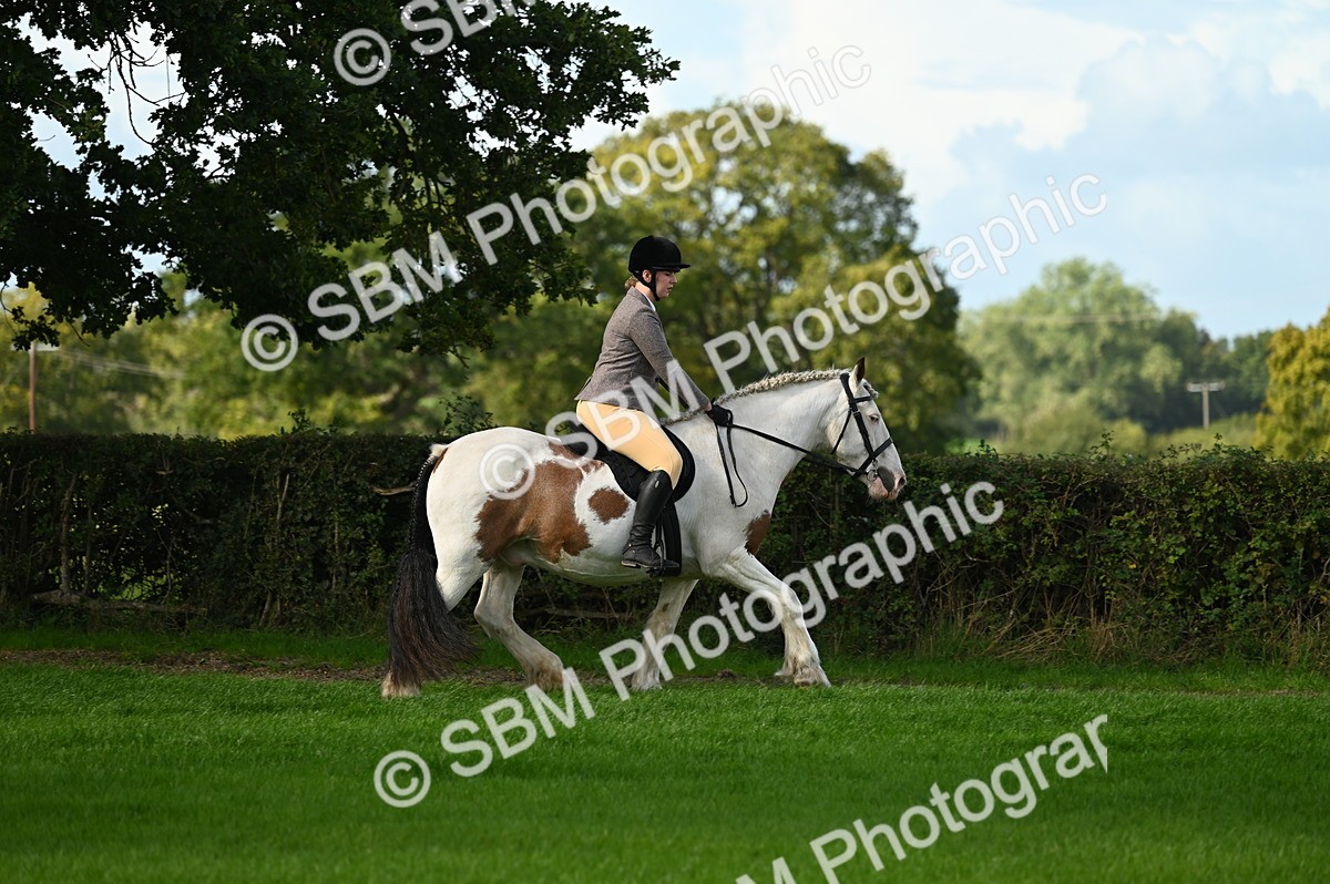 SBM_01832 - S2 - TSR Ridden Horse Showing