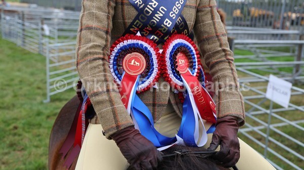 untitled-7244 - Shetland Pony Show