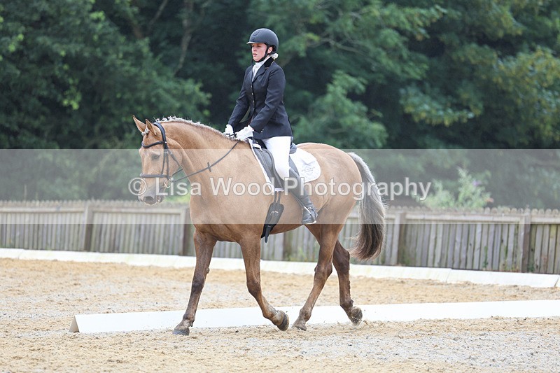 3E7A8625 - Class 2: Intro 3 2024 section B