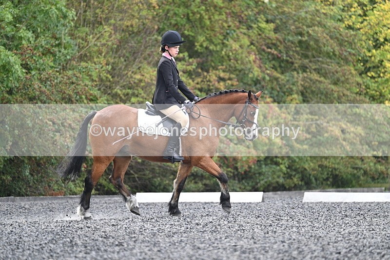 WJ7_3956 - Time 11:04 to 11:38