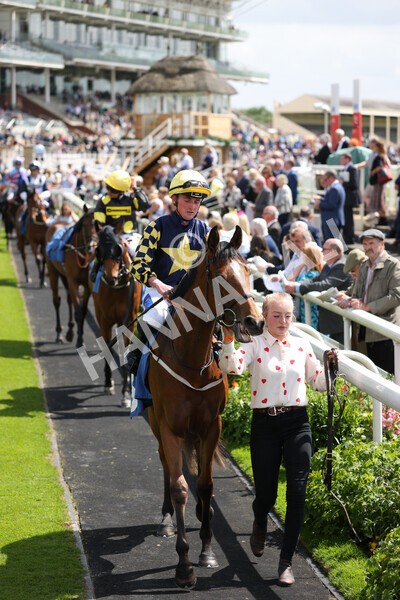 yr10062022r2-3 - Race 2 2.30pm SKF Rous Selling Stakes