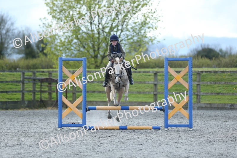 20260412-1776 - Show Jumping