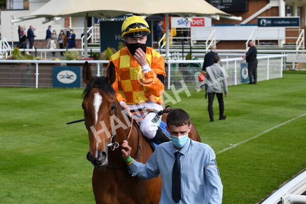 yr12052021r7-18 - Race 7 4.50 pm Conundrum HR Consulting Stakes