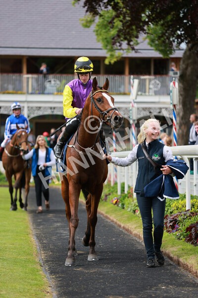 yr21052022r3-19 - Race 3: 3:30pm William Hill Best Odds Guaranteed Stakes