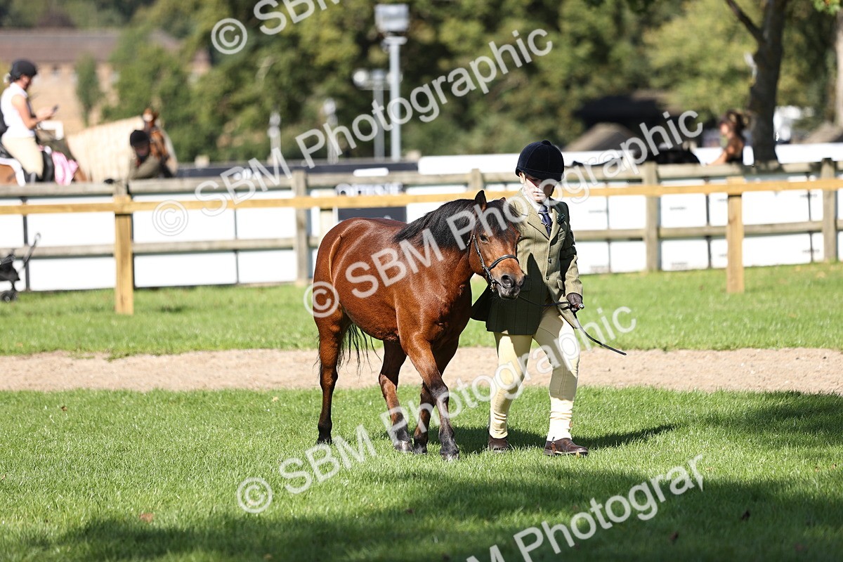 SBM_26208 - S5 - Novice & Newcomers In Hand