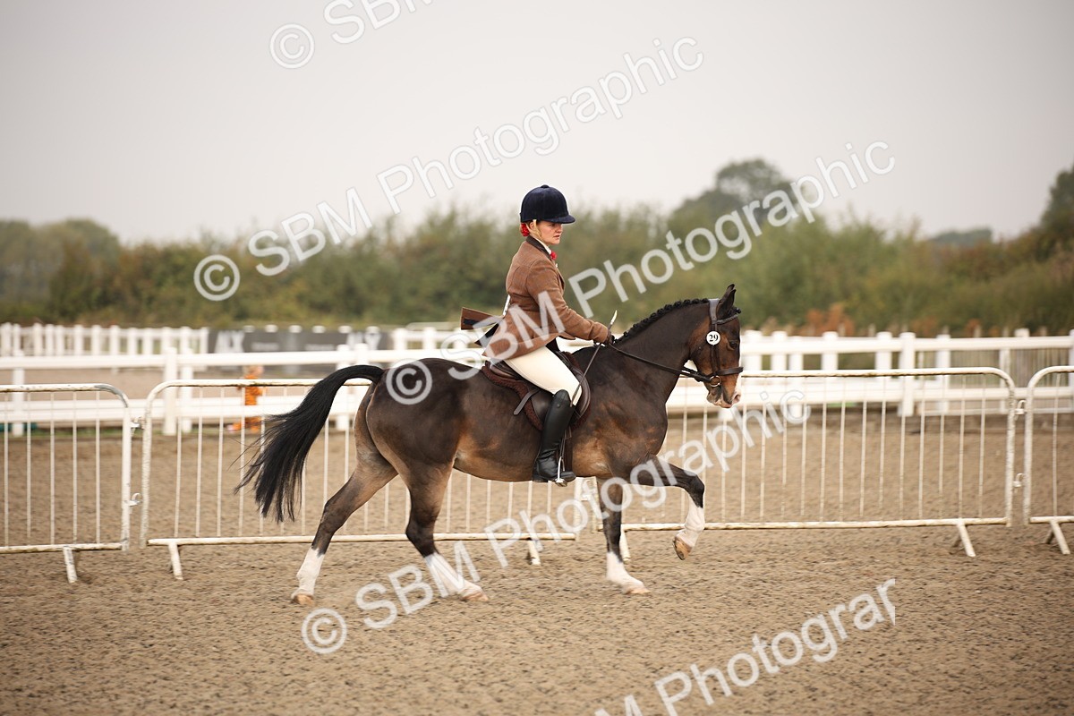 SBM_09801 - Class 401 Riding Club Pony