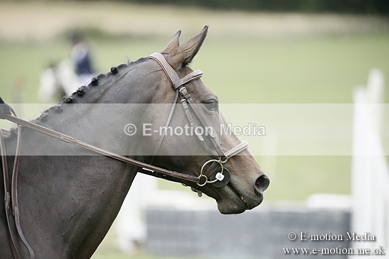 BVR080918 401 - BVRC Novice Dressage & CR 08/09/18