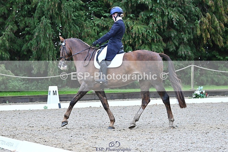 231019-113817-02197 - 110-MARTINS.IRISH.EDDIE-Allegra.Cowley-DR