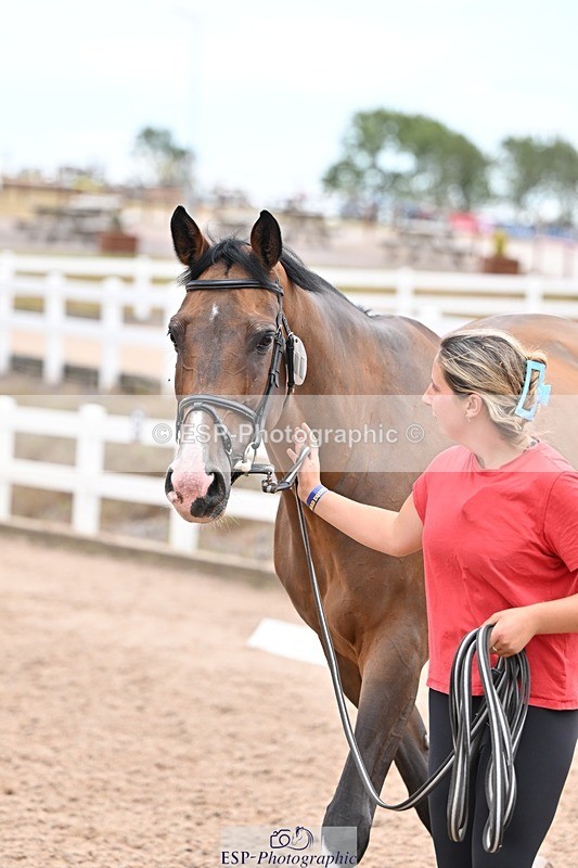 250716-140306-00882 - Trot Up 1.30 to 2.30