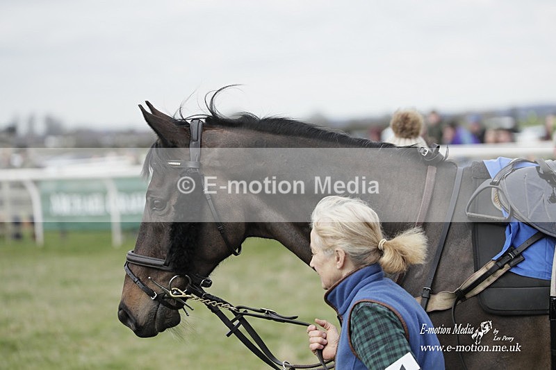 PtP 190323 516 - Oakley Hunt Point-to-Point Brafield-On-The-Green 19/03/23