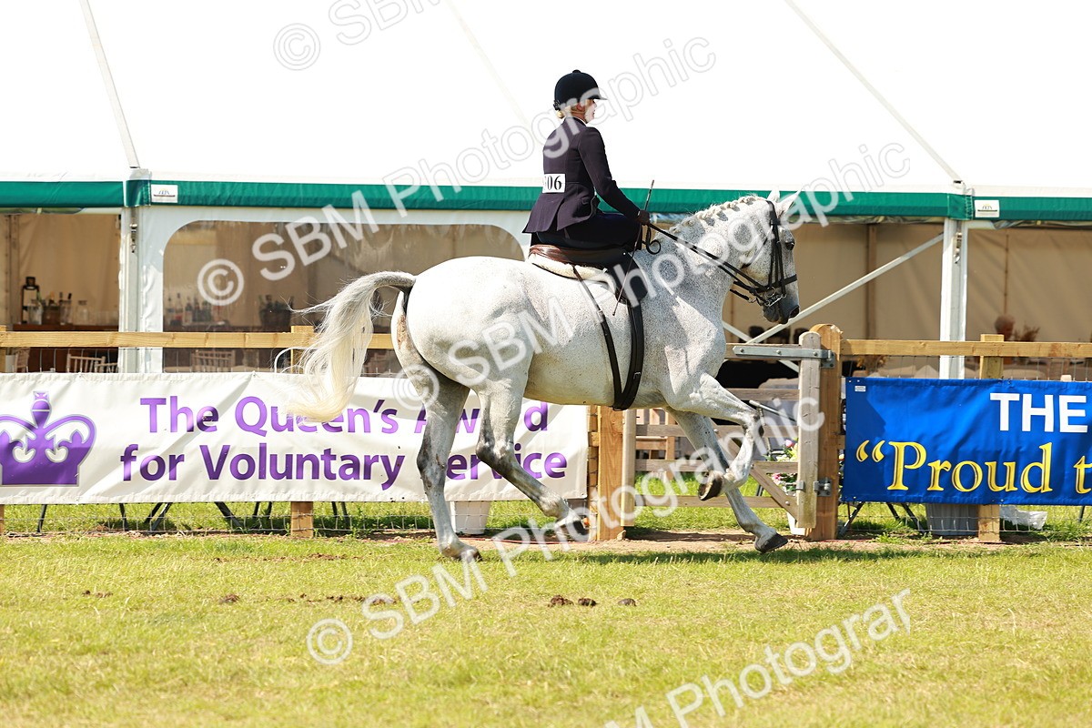 SBM_13328 - Class 70-71 - Side Saddle