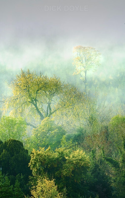 IT  WAS ALL YELLOW - Mood and mist with some lumen added