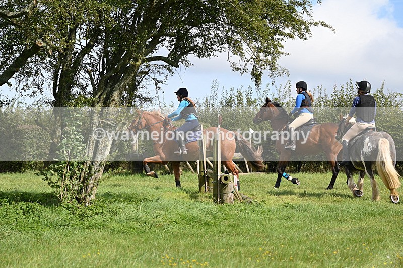 WJ6_7530 - Time 11:29 to 11:45